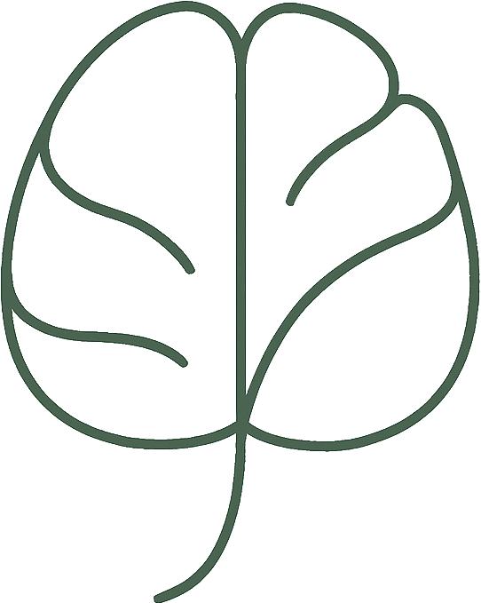 psychoterapia Skierniewice psychoterapeuta Skierniewice pomoc psychologiczna psycholog Skierniewice