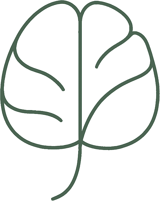 psychoterapia Skierniewice psychoterapeuta Skierniewice pomoc psychologiczna psycholog Skierniewice